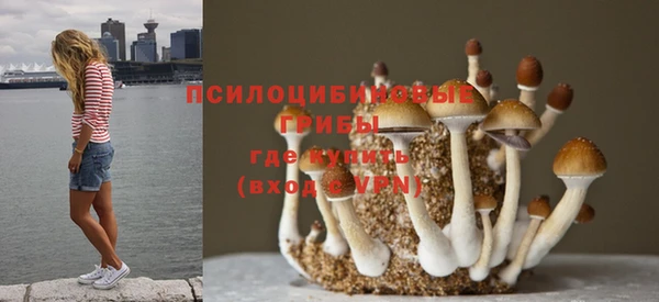 дурь Алексеевка