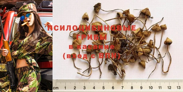 дурь Алексеевка