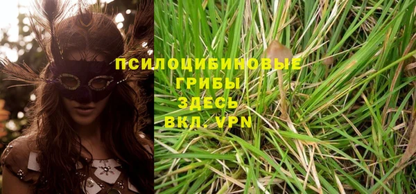 дурь Алексеевка